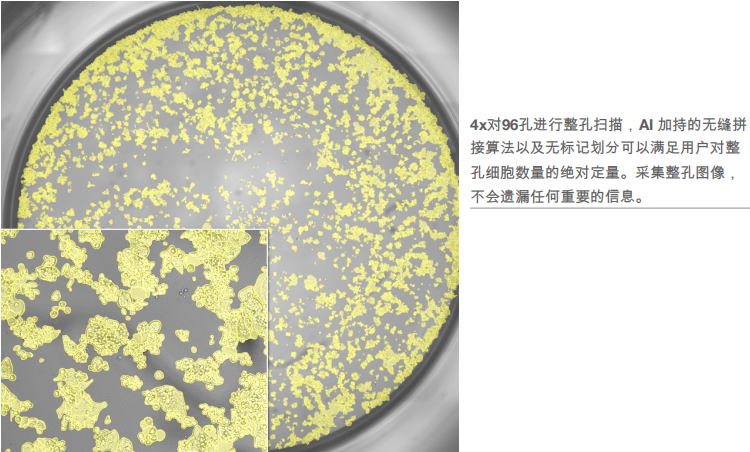 微信圖片_20250108100021.png
